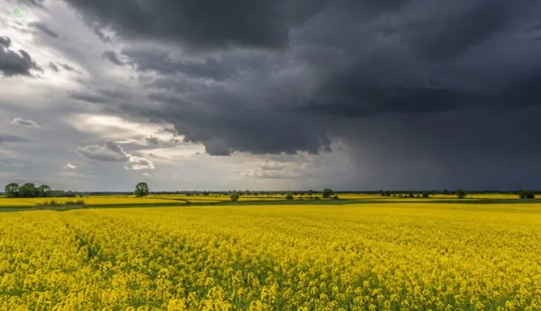 Ostrzeżenie IMGW dla Pomorskiego. Burze i silny wiatr (FOTO: wbijamszpile.pl)