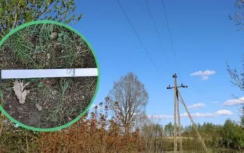 Dramat na Kaszubach. Trzy osoby rażone prądem przez metalowy szlaban (FOTO: KPP Bytów)