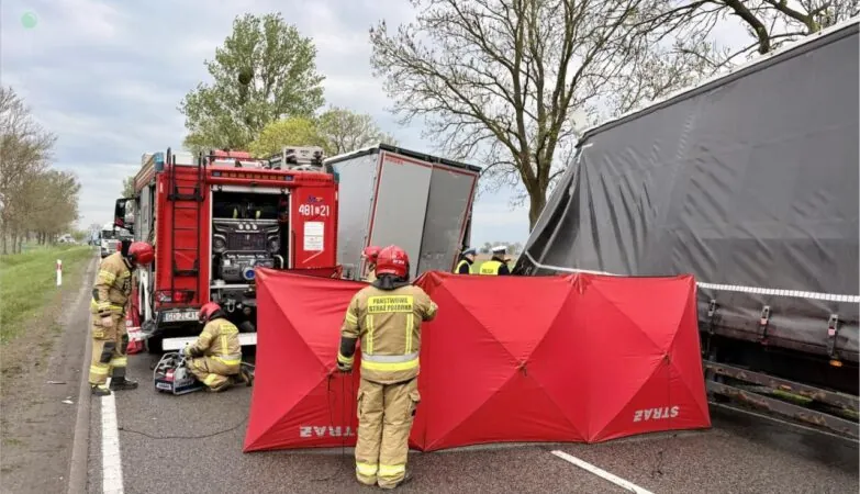 Wypadek ciężarówek w Cisach. Droga Malbork - Tczew całkowicie zablokowana (FOTO: sekc. Patryk Kleina/KPPSP Malbork)