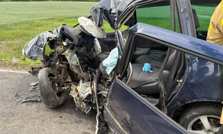 Wypadek w Starym Dzierzgoniu. Auto uderzyło w drzewo (FOTO: KWPSP Gdańsk)