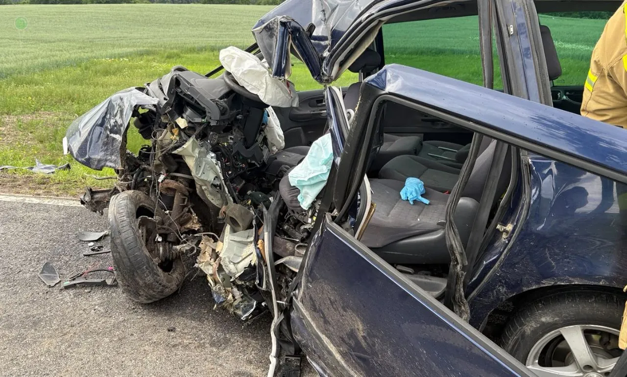 Wypadek w Starym Dzierzgoniu. Auto uderzyło w drzewo (FOTO: KWPSP Gdańsk)