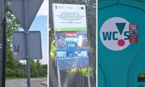 Nowa odsłona sporu o rejsy na foki. Reklama zalewa Wyspę Sobieszewską