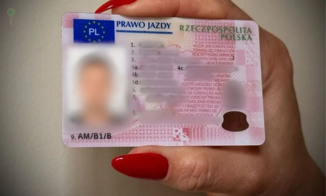 Cudzoziemcy z podrobionymi prawami jazdy na drogach Gdańska