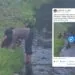 Obywatele Indii kąpali się w rzece w Gdyni. Sprawę komentuję poseł z Pomorza (FOTO: X)