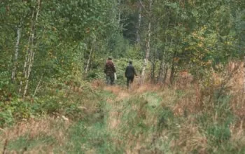 81-letni grzybiarz zaginął w lesie. Policjanci znaleźli go na ziemi (FOTO: canva)